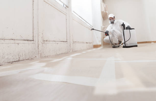 24/7 Emergency Crawl Space Mold Removal experts in Rockford, MI