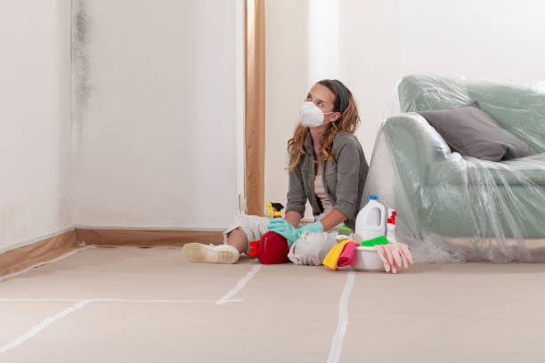 Reliable Crawl Space Mold Removal contractor in Rockford, MI by WQB Mold Removal